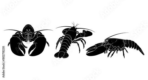 Black silhouette lobsters trio on white background for marine themes