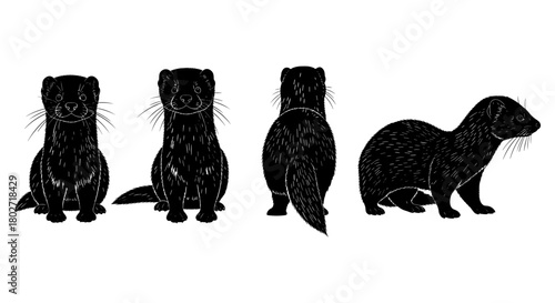Black silhouette ferret set with various angles on white background