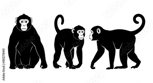 Silhouette monkeys: playful primate trio in black and white design