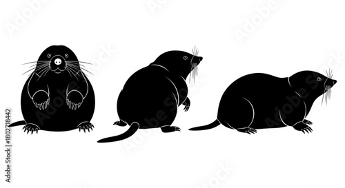Silhouette graphic of three black moles in various poses on white background