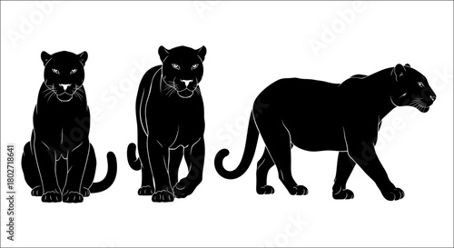 Black panther silhouettes collection: three majestic big cats in various poses