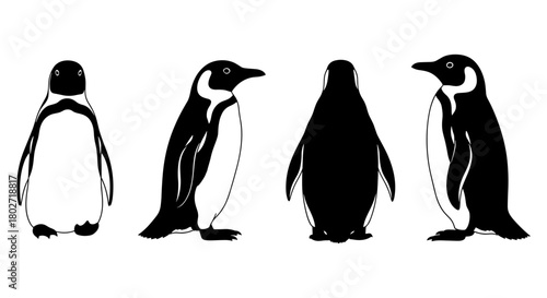 Silhouette penguins: diverse poses in black and white outline