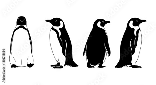 Penguin silhouette set featuring side and front views in black and white