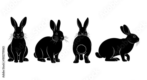 Rabbit silhouettes: four unique bunny poses in black and white