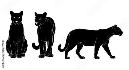 Elegant panther silhouettes in various poses on white background