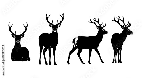 Deer silhouettes in various poses on white background