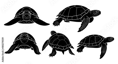 Silhouette turtles collection: multiple perspectives of sea and land turtles in black