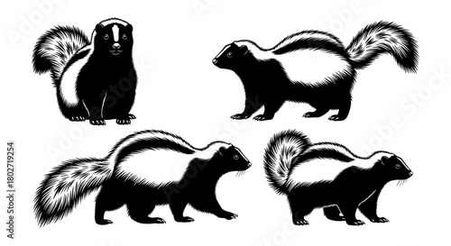 Silhouette skunk collection: artistic and detailed wildlife designs