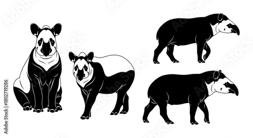 Black and white tapirs: silhouette style wildlife art of two species in profile and seated poses
