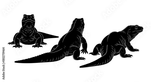 Silhouette reptile design: detailed black iguana in multiple poses