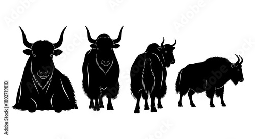 Silhouette yak and bison set on white background