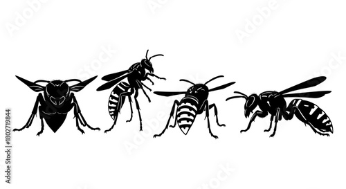 Striking silhouette of various wasp species on white background