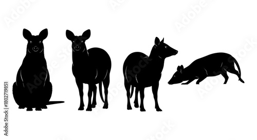 Silhouette of australian wildlife: kangaroo, wallaby, dingo, tasmanian devil