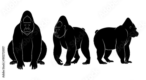 Three gorilla silhouettes displaying different poses on white background”