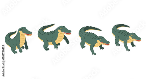 Cartoon alligator sequence: four walking poses on white background