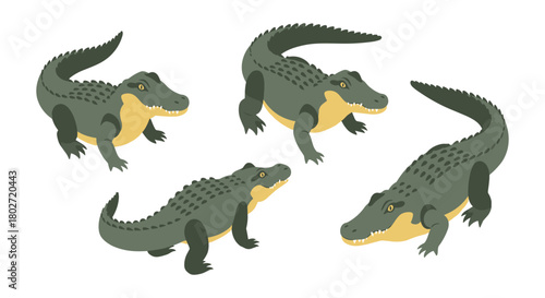 Isometric alligator set on white background: wildlife nature design