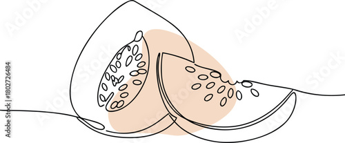 Melon slices abstract art fruit seeds