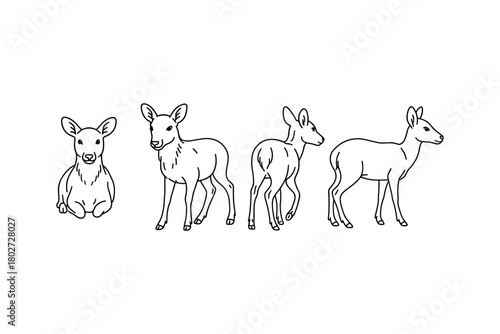 Deer line art set: four poses of a cute fawn simple linear design