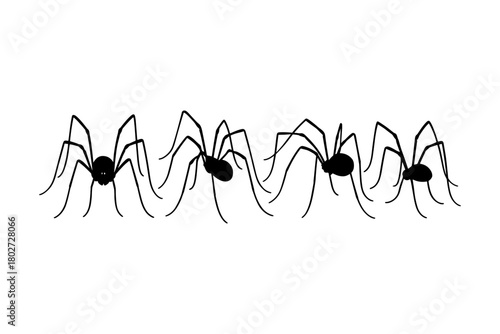 Silhouette of spiders in a line on white background for halloween themes