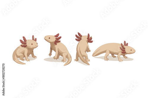 Cute axolotl set in multiple poses on white background