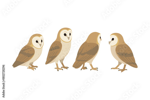 Barn owl set: diverse poses of a graceful nocturnal bird in flat design