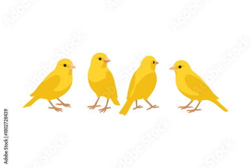 Bright yellow birds in minimalistic style on white background