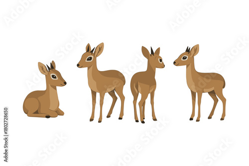 Cute cartoon deer set with multiple poses on white background