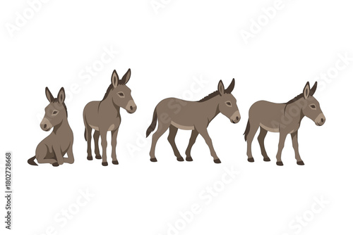 Cute donkey sequence showing various poses in flat design style