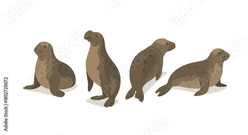 Realistic sea lion poses set on white background
