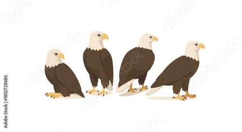 Majestic eagle collection: flat style bald eagle poses in natural colors
