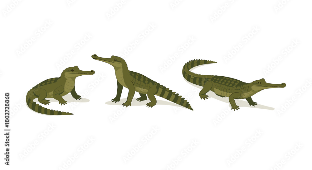 Obraz premium Three cartoon alligators set against a white background in playful pose