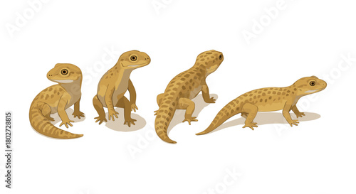 Cute cartoon geckos in various poses on a white background