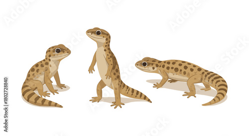 Realistic geckos: standing, sitting, and walking poses with spotted tails