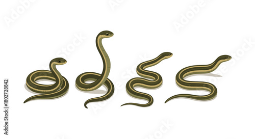 Isometric snakes set: variety of poses and movements on white background