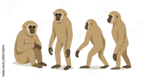 Flat style gibbons set featuring different poses on white background
