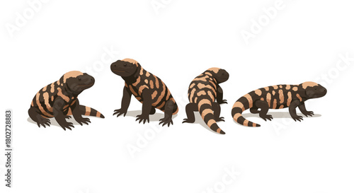 Gila monsters in flat design on white background