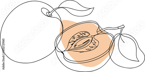Peach fruit slices leaves abstract line art seed