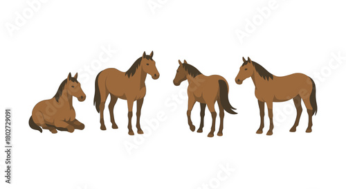 Set of cartoon brown horses in various poses on white background