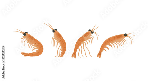 Colorful cartoon shrimp collection with various poses