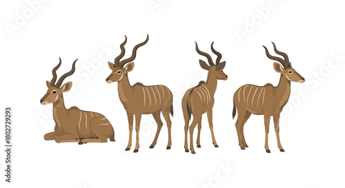 Elegant antelope illustrations in various poses and perspectives