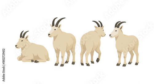 Mountain goat poses: detailed wildlife collection in flat design