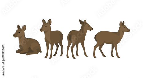 Illustrated deer poses in natural shades
