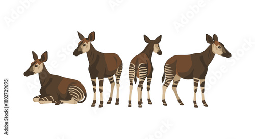 Flat okapi design showcasing unique patterns and elegant poses