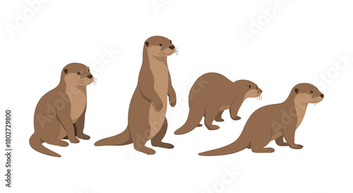 Cute otter family in various poses on white background
