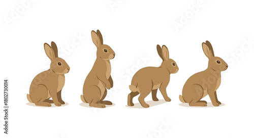 Adorable cartoon rabbits in different poses on white background