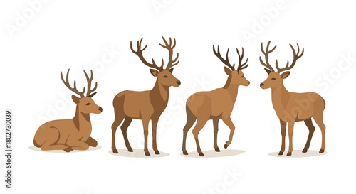 Set of four deer in flat design on white background