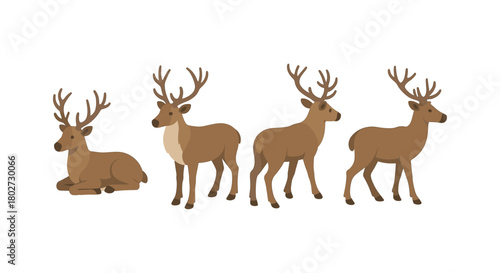 Majestic deer set in flat style featuring various poses of brown deer with antlers