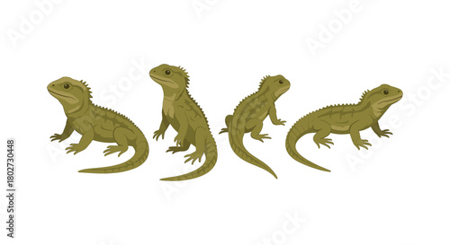 Realistic tuatara reptile set on white background