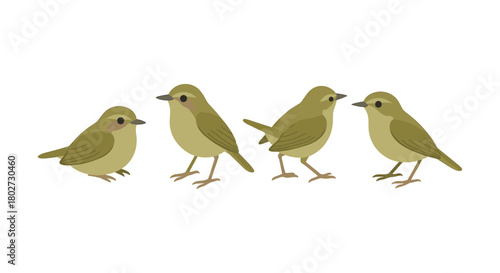 Flat style green birds set on white background