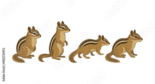 Cute chipmunks in different poses on white background